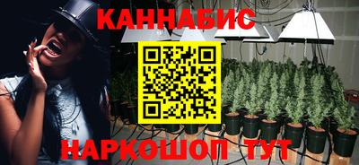 СК Обь
