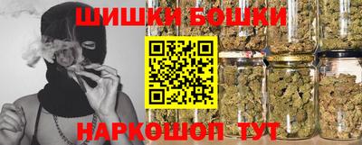 СК Обь